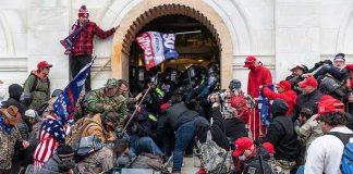 Crowd storming a building entrance with flags and signs