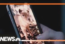 Social media giants head to trial over addiction claims