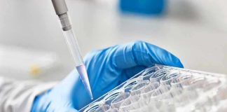 Pfizer ABANDONS Vaccine Study – Americans Won’t Participate Gloved hand pipetting liquid into a tray.