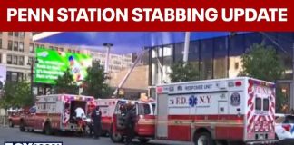 Random Rampage Rattles Penn Station 5 people stabbed inside Manhattan’s Penn Station, suspect in custody