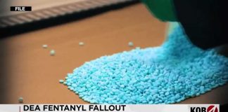 New Mexico leaders address allegations of DEA intentionally letting fentanyl into the state
