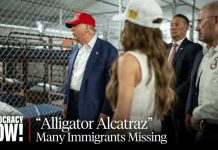 Regulators Rebel Against Croc Deterrence Where Are The Detainees? Hundreds of "Alligator Alcatraz" Prisoners Disappear from ICE Database