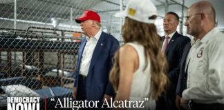 Regulators Rebel Against Croc Deterrence Where Are The Detainees? Hundreds of "Alligator Alcatraz" Prisoners Disappear from ICE Database