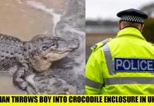 Attempted Murder Label—But Where’s The Proof? 🚨BREAKING: Man THROWS 3 Year Old Boy In To Crocodile Enclosure In Cambridgeshire!