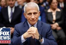 GOP senator TORCHES Fauci: 'Who the f--- do you think you were?!'