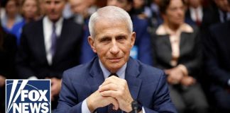 Senate Clash Reopens Pandemic Wounds GOP senator TORCHES Fauci: 'Who the f--- do you think you were?!'