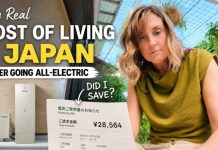 Import Reliance Backfires—Bills Spike Fast Japan Electricity Prices: Is All Denka Worth It?