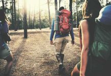 Grandma Vanishes, Week Later – Rescuers Stunned hikers walking through a sunlit forest
