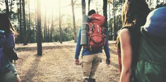 hikers walking through a sunlit forest