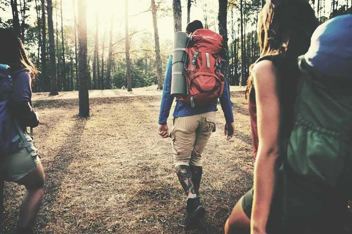 shutterstock_443840548 hikers walking through a sunlit forest
