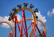 Roller coaster train twists through a vertical loop